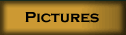 Pictures